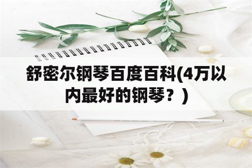 舒密尔钢琴百度百科(4万以内最好的钢琴？)