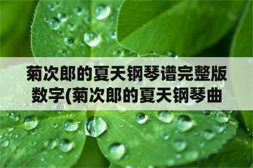 菊次郎的夏天钢琴谱完整版数字(菊次郎的夏天钢琴曲算几级？)