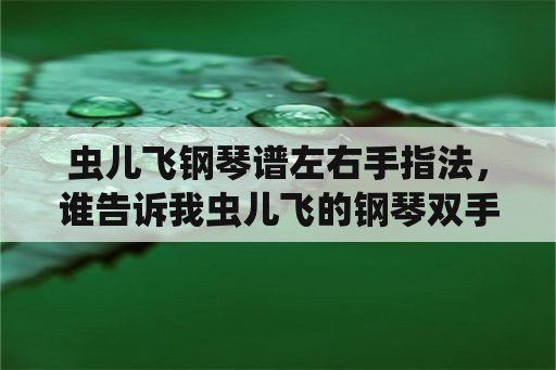 虫儿飞钢琴谱左右手指法，谁告诉我虫儿飞的钢琴双手简谱？