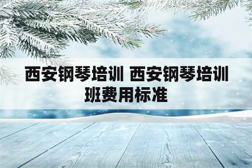 西安钢琴培训 西安钢琴培训班费用标准