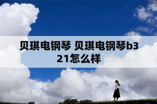 贝琪电钢琴 贝琪电钢琴b321怎么样