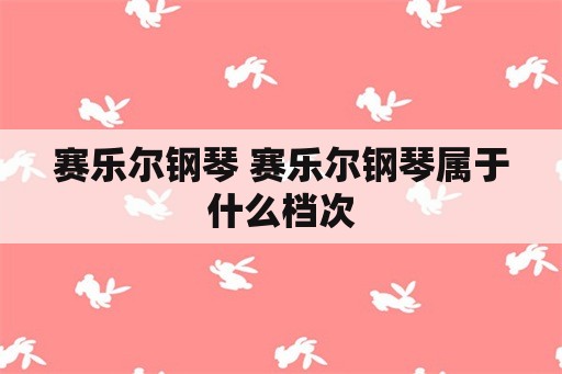 赛乐尔钢琴 赛乐尔钢琴属于什么档次