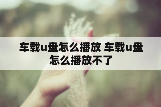 车载u盘怎么播放 车载u盘怎么播放不了