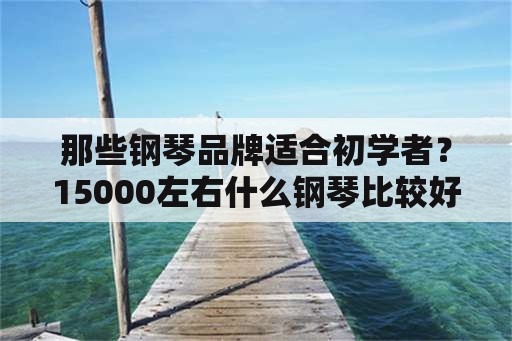 那些钢琴品牌适合初学者？15000左右什么钢琴比较好？