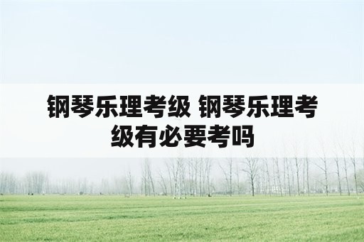 钢琴乐理考级 钢琴乐理考级有必要考吗