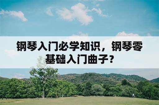 钢琴入门必学知识，钢琴零基础入门曲子？