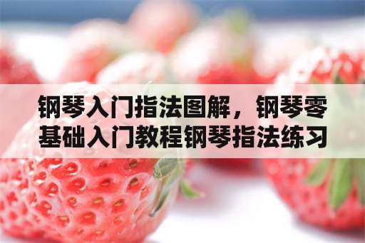 钢琴入门指法图解，钢琴零基础入门教程钢琴指法练习口诀怎样自学？