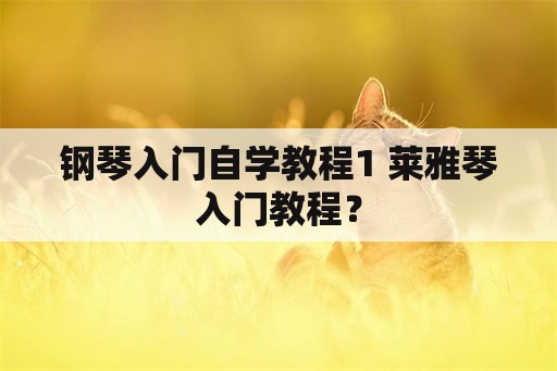 钢琴入门自学教程1 莱雅琴入门教程？