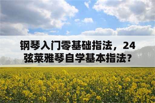 钢琴入门零基础指法，24弦莱雅琴自学基本指法？