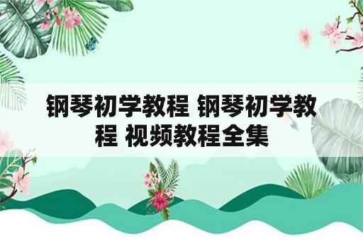 钢琴初学教程 钢琴初学教程 视频教程全集