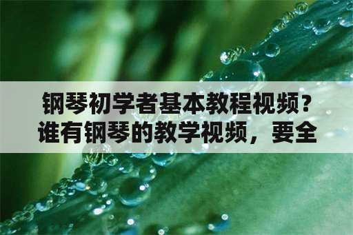 钢琴初学者基本教程视频？谁有钢琴的教学视频，要全套的？