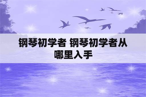 钢琴初学者 钢琴初学者从哪里入手