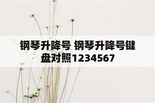 钢琴升降号 钢琴升降号键盘对照1234567