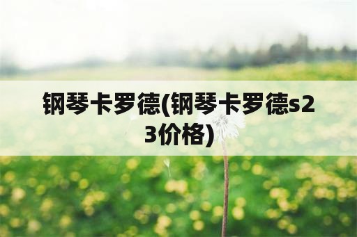 钢琴卡罗德(钢琴卡罗德s23价格)