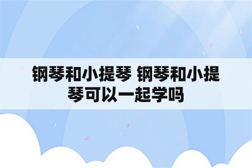 钢琴和小提琴 钢琴和小提琴可以一起学吗