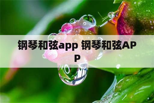 钢琴和弦app 钢琴和弦APP