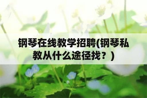 钢琴在线教学招聘(钢琴私教从什么途径找？)