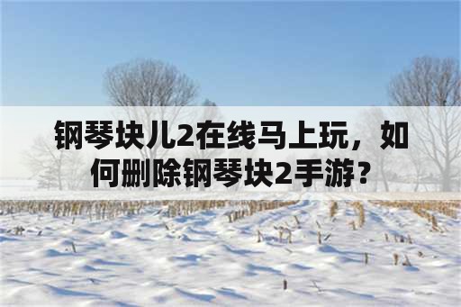 钢琴块儿2在线马上玩，如何删除钢琴块2手游？