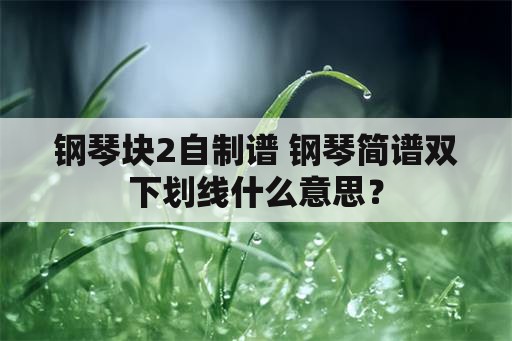 钢琴块2自制谱 钢琴简谱双下划线什么意思？