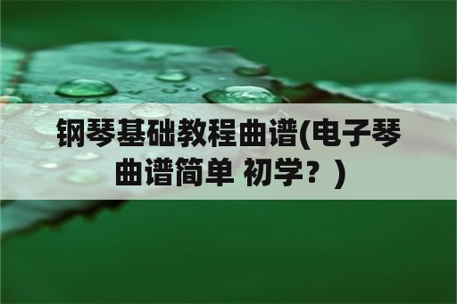 钢琴基础教程曲谱(电子琴曲谱简单 初学？)