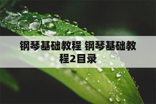 钢琴基础教程 钢琴基础教程2目录