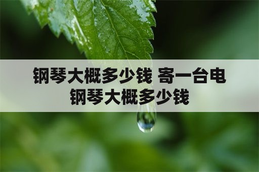 钢琴大概多少钱 寄一台电钢琴大概多少钱