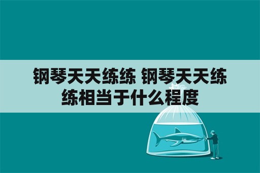 钢琴天天练练 钢琴天天练练相当于什么程度