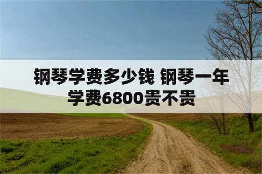 钢琴学费多少钱 钢琴一年学费6800贵不贵