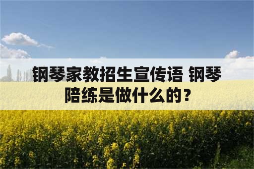 钢琴家教招生宣传语 钢琴陪练是做什么的？