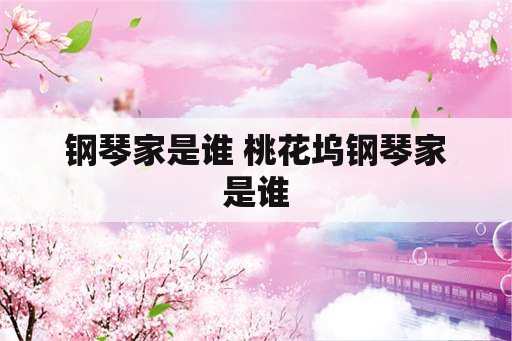 钢琴家是谁 桃花坞钢琴家是谁