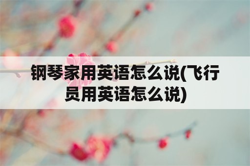 钢琴家用英语怎么说(飞行员用英语怎么说)