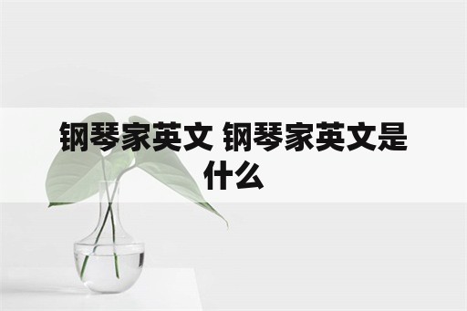 钢琴家英文 钢琴家英文是什么