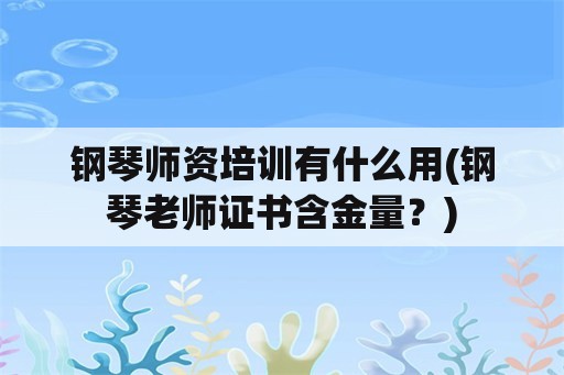 钢琴师资培训有什么用(钢琴老师证书含金量？)