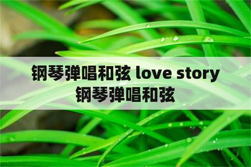 钢琴弹唱和弦 love story钢琴弹唱和弦