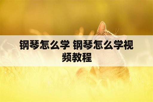 钢琴怎么学 钢琴怎么学视频教程