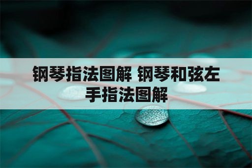 钢琴指法图解 钢琴和弦左手指法图解