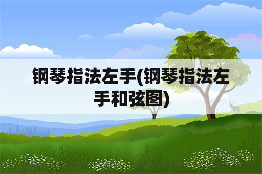 钢琴指法左手(钢琴指法左手和弦图)