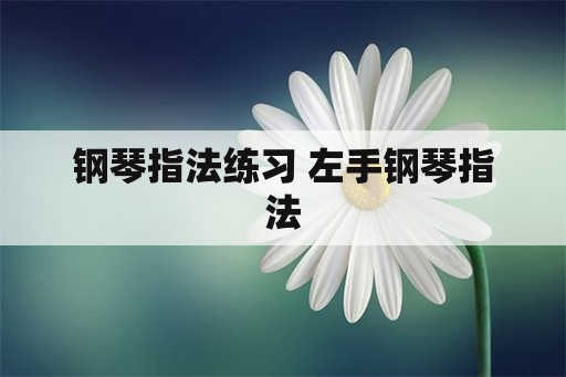 钢琴指法练习 左手钢琴指法