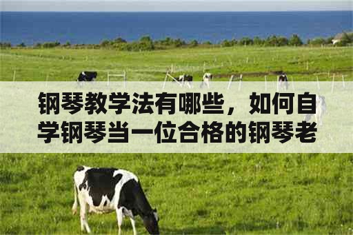 钢琴教学法有哪些，如何自学钢琴当一位合格的钢琴老师？