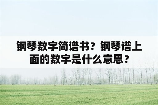 钢琴数字简谱书？钢琴谱上面的数字是什么意思？