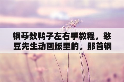 钢琴数鸭子左右手教程，憨豆先生动画版里的，那首钢琴主题曲叫什么鸭？