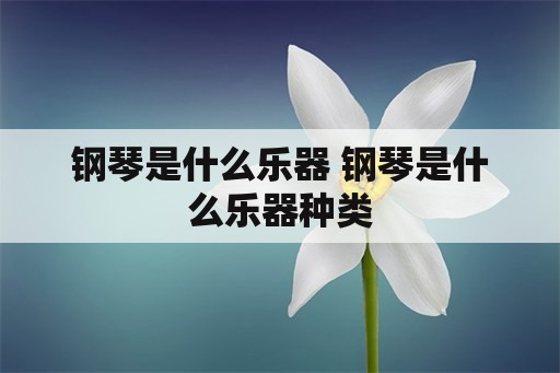 钢琴是什么乐器 钢琴是什么乐器种类