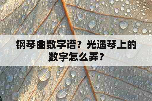 钢琴曲数字谱？光遇琴上的数字怎么弄？