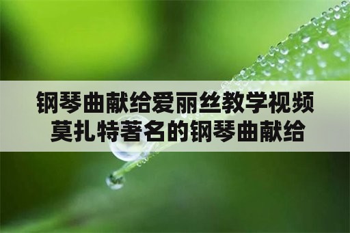 钢琴曲献给爱丽丝教学视频 莫扎特著名的钢琴曲献给爱丽丝？