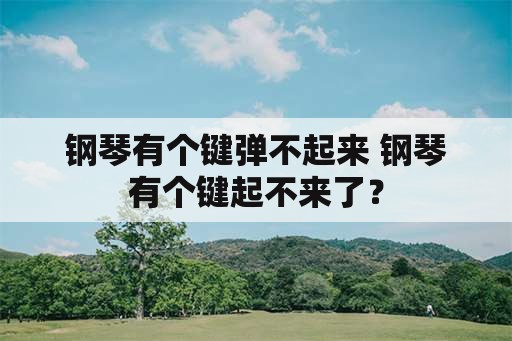 钢琴有个键弹不起来 钢琴有个键起不来了？