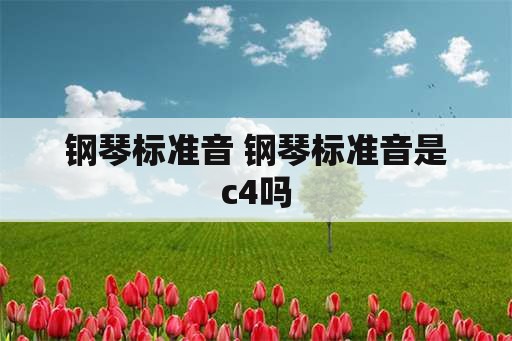 钢琴标准音 钢琴标准音是c4吗