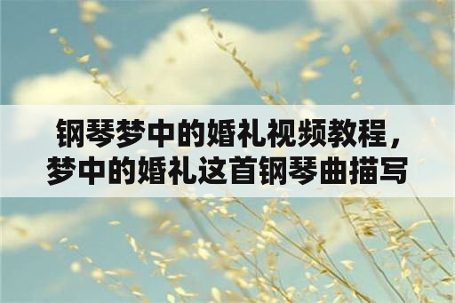 钢琴梦中的婚礼视频教程，梦中的婚礼这首钢琴曲描写听它的感觉？