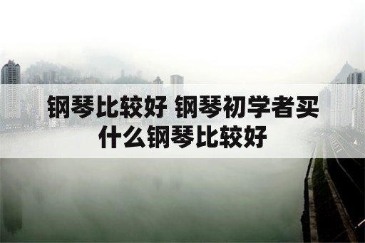 钢琴比较好 钢琴初学者买什么钢琴比较好