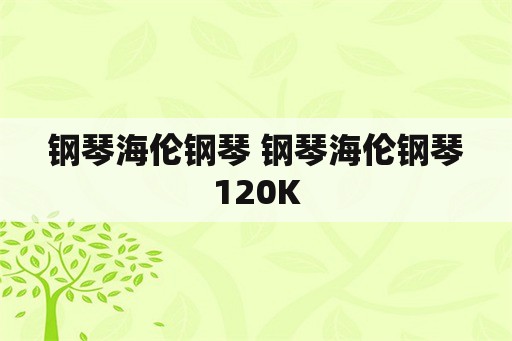 钢琴海伦钢琴 钢琴海伦钢琴120K