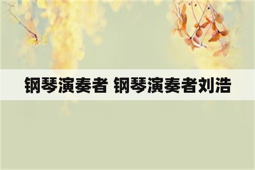 钢琴演奏者 钢琴演奏者刘浩